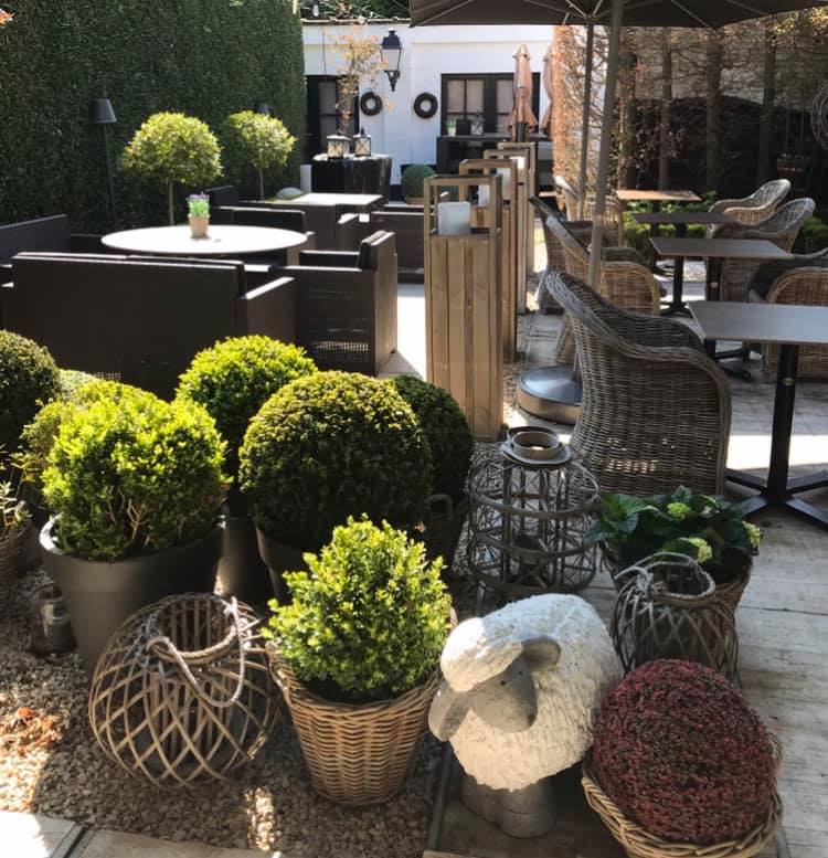 Terras